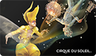 Cirque du Soleil logo