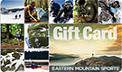 Eastern Mountain Sports logo
